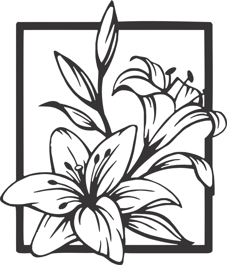 CUA000049 — 45X38.5