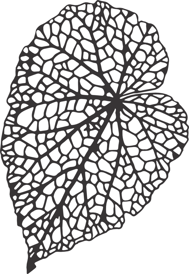 CUA000224 — 30X20.5
