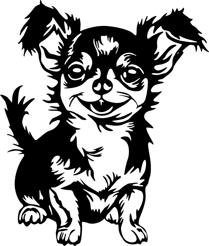 CUA000297 — 45X38.5