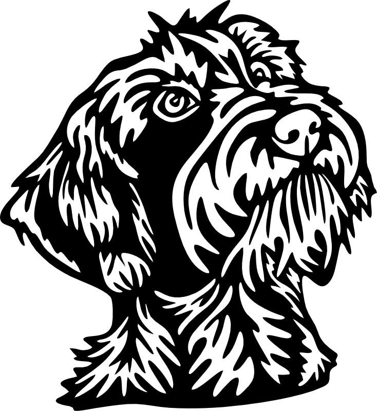 CUA000302 — 45X41