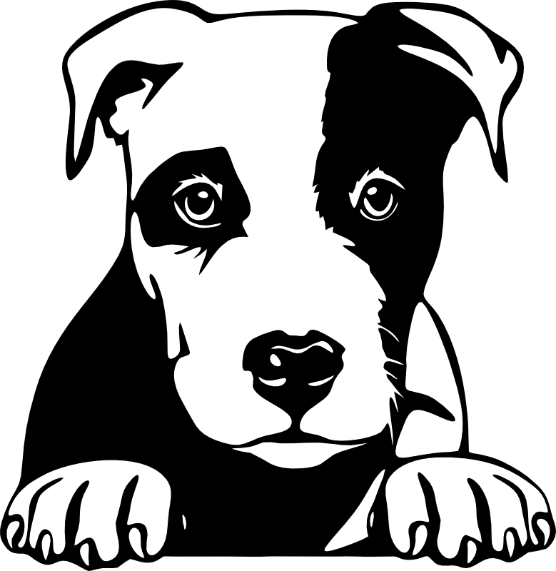CUA000305 — 45X44