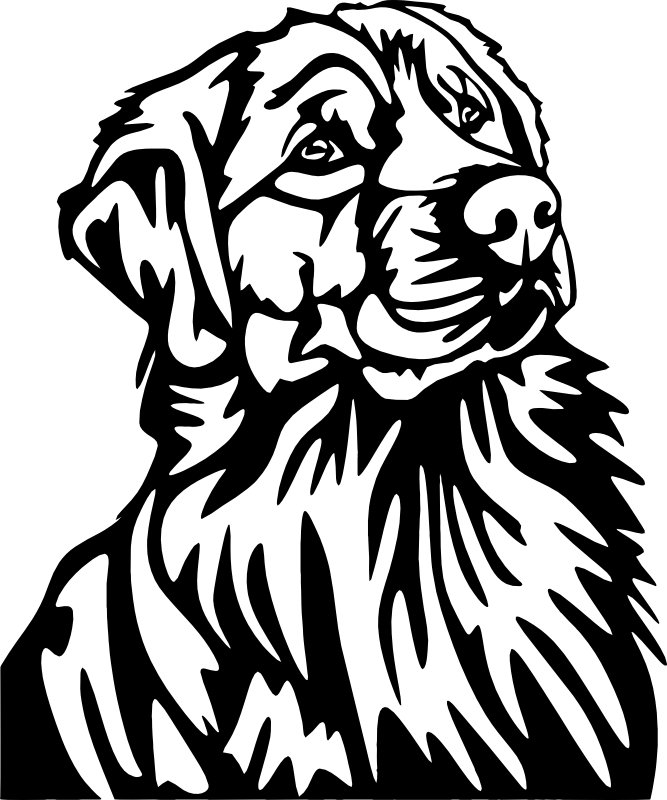 CUA000306 — 45X37.5