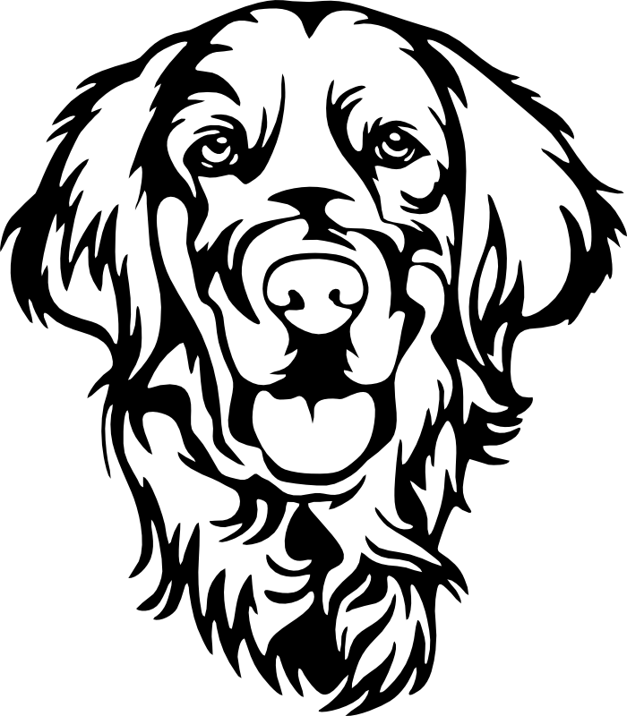 CUA000307 — 45X39.5