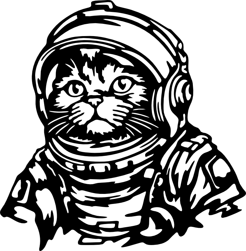 CUA000308 — 45X44
