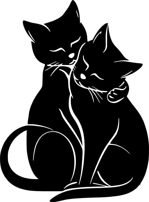 CUA000312 — 45X33