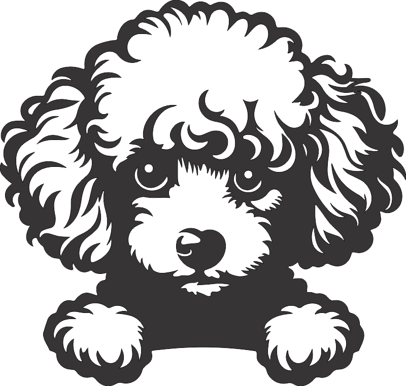 CUA000359 — 45X43